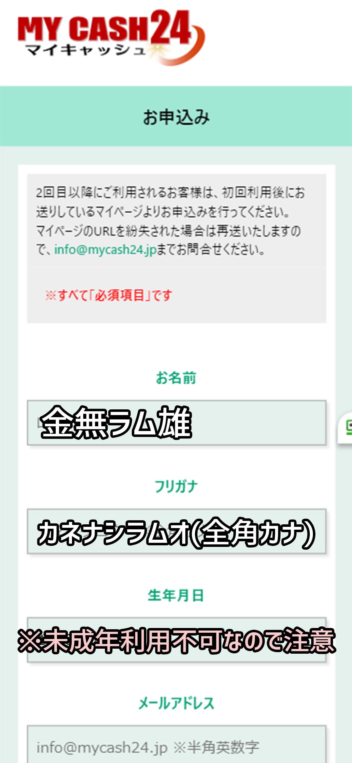 マイキャッシュ24新規申し込み手順2