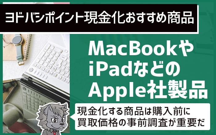 ヨドバシポイント現金化おすすめ商品