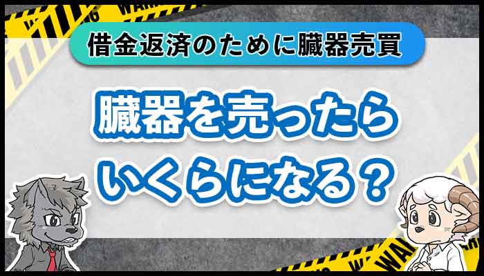 臓器を売ったらいくらになる？